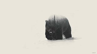 black bear, double exposure, bears HD wallpaper