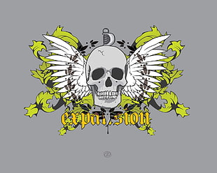 white and yellow skull with wings artwork