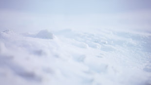 close up photo of white powder ornament