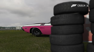 pink and white vehicle, Dodge, Dodge Challenger, car, muscle cars