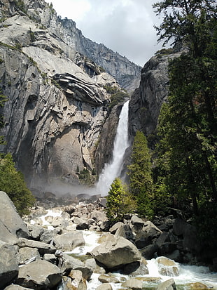 green leafed tree, Yosemite Falls, Yosemite Valley, Yosemite National Park, nature HD wallpaper