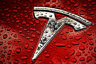 Tesla Motors, logo