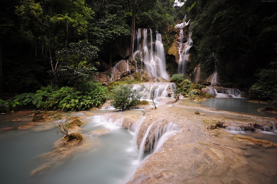 waterfalls and green leaf plants HD wallpaper