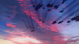 clouds formation, anime, birds, sky, clouds