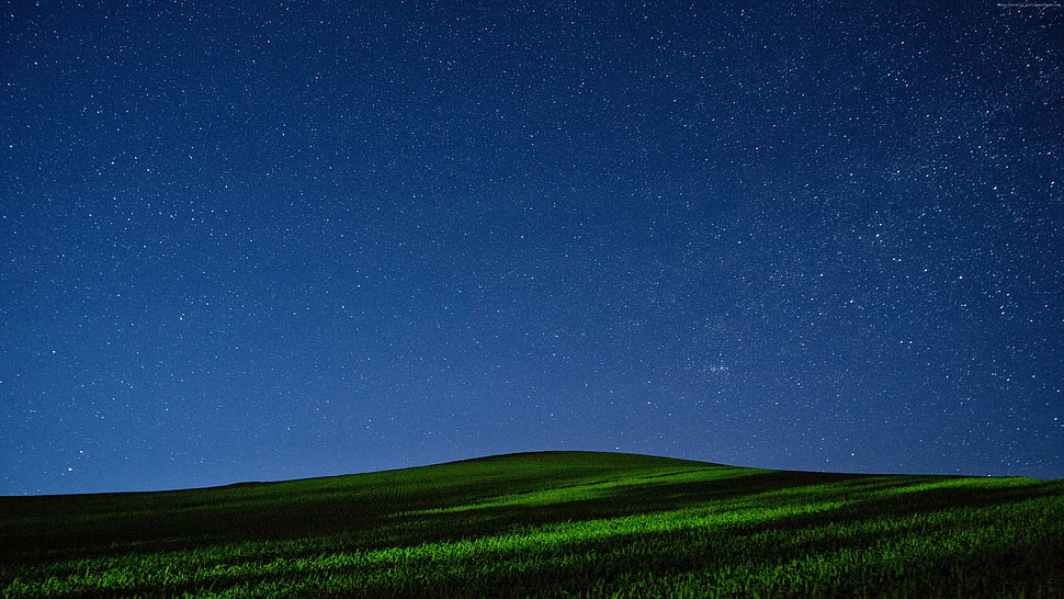 green grass field over the horizon during nighttime HD wallpaper