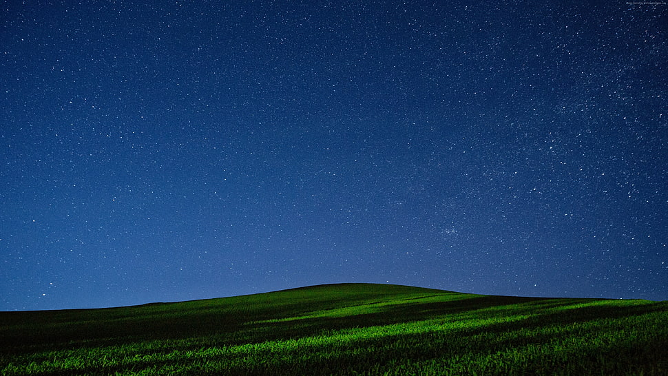 green grass field over the horizon during nighttime HD wallpaper
