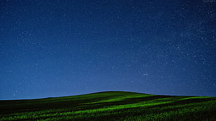 green grass field over the horizon during nighttime HD wallpaper