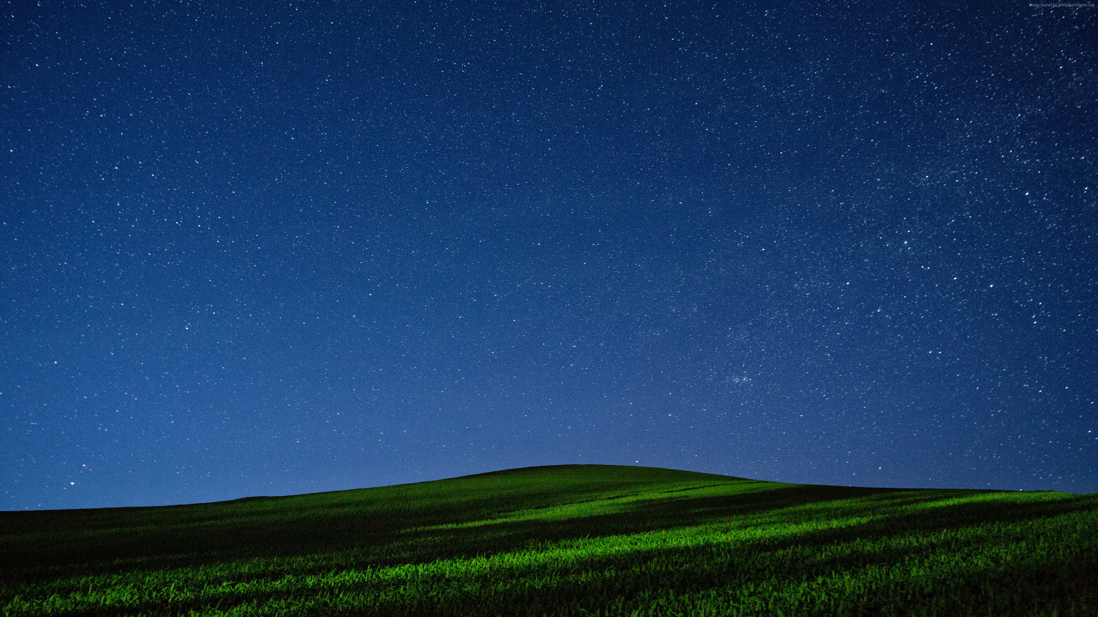 green grass field over the horizon during nighttime