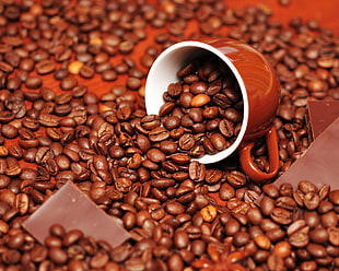 coffee beans on brown ceramic mug