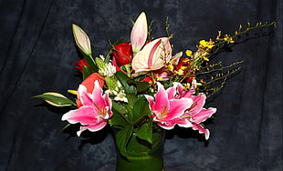 arranged pink and green petaled flowers