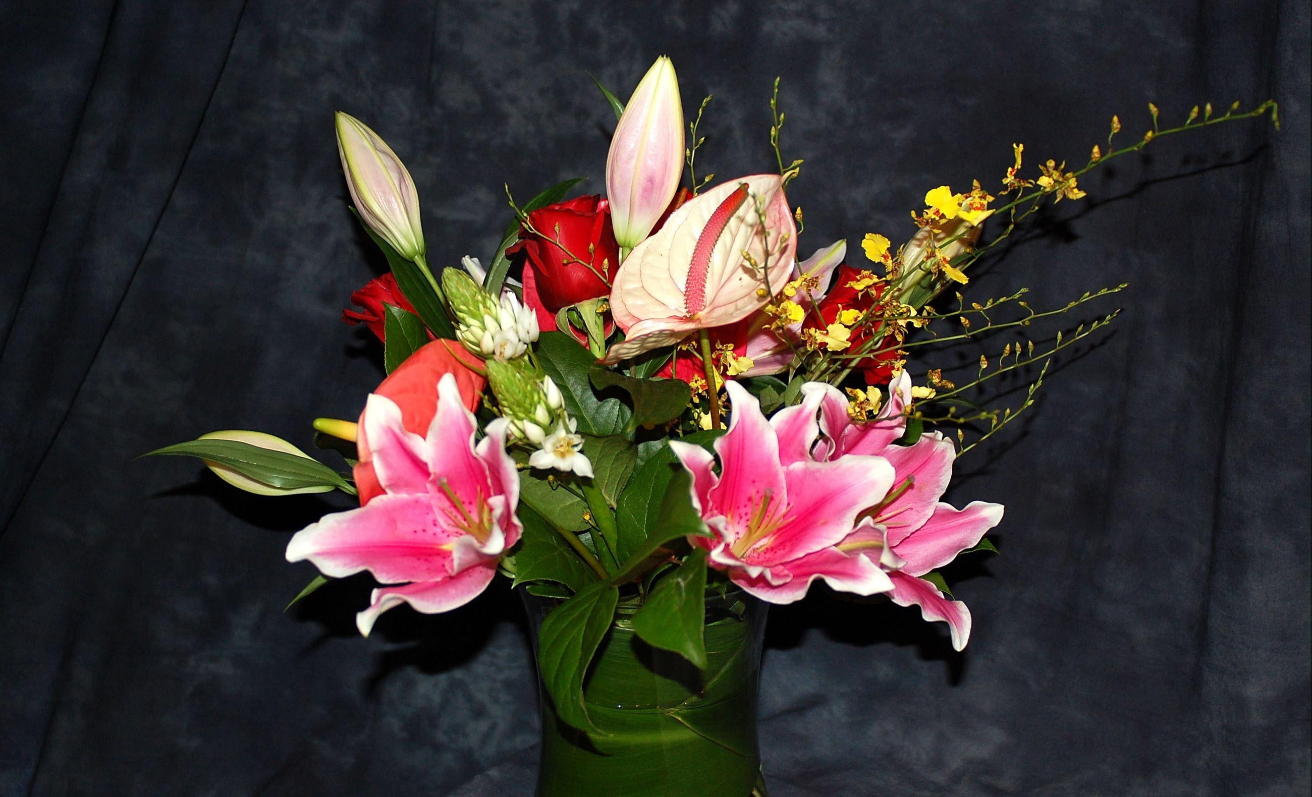arranged pink and green petaled flowers