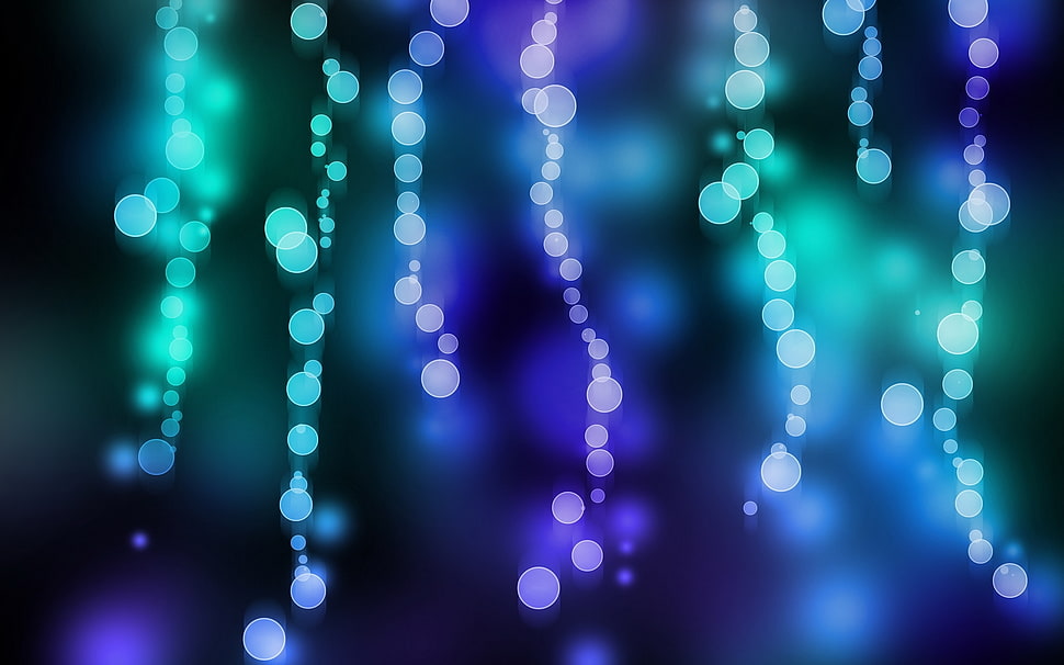 bokeh effect photography HD wallpaper