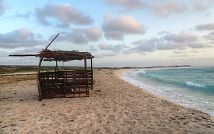 brown wooden hut, Aruba, beach, sea