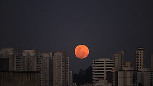 red full moon, Moon, landscape, red