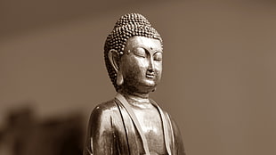 Buddha figurine, statue, sculpture, artwork, Buddha HD wallpaper