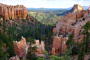 rocky mountain with trees under white clouds blue sky, bryce canyon