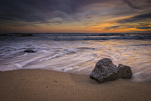 silhouette photo of seashore during sunset