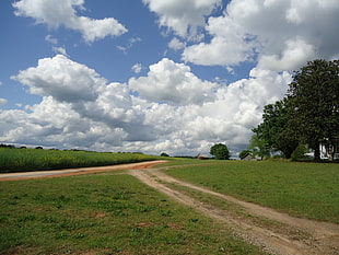 green grassfield during daytime