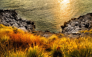 landscape photography of seashore HD wallpaper
