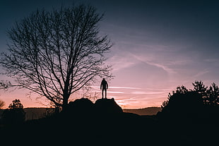 person standing on stone beside tree photo
