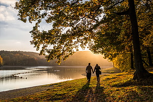 couple walking on side of the river HD wallpaper