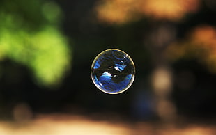 closeup photo of floating bubbles