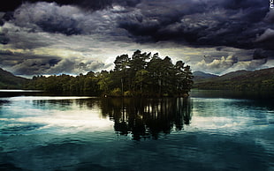body of water near trees, nature, trees, landscape, reflection