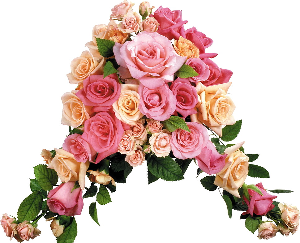 pink and beige floral wreath HD wallpaper