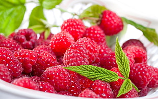 shallow focus photograph of raspberries on white ceramic plate