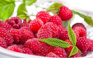 shallow focus photograph of raspberries on white ceramic plate HD wallpaper