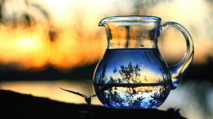 glass pitcher, bottles, nature, water, glass