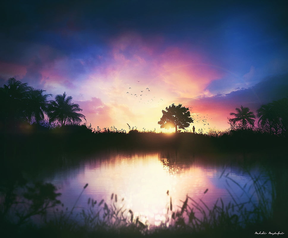 silhouette of forest during sunset, digital art, 500px, Mehdi Mostefaï, nature HD wallpaper
