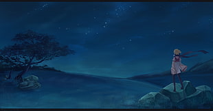 anime character wallpaper, stars, night