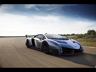 gray Lamborghini Veneno