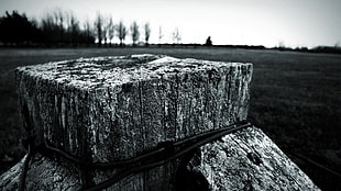 gray wooden stand grayscale photo, wood, depth of field, field, monochrome