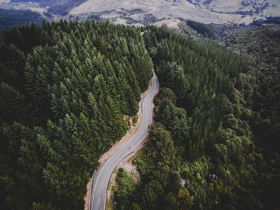 bird's eye view of road in the middle of forest HD wallpaper