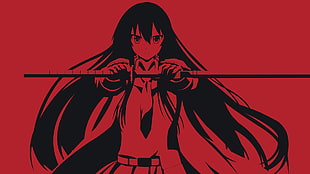 Akame from Akame Ga Kill, anime, Akame ga Kill!, Akame HD wallpaper