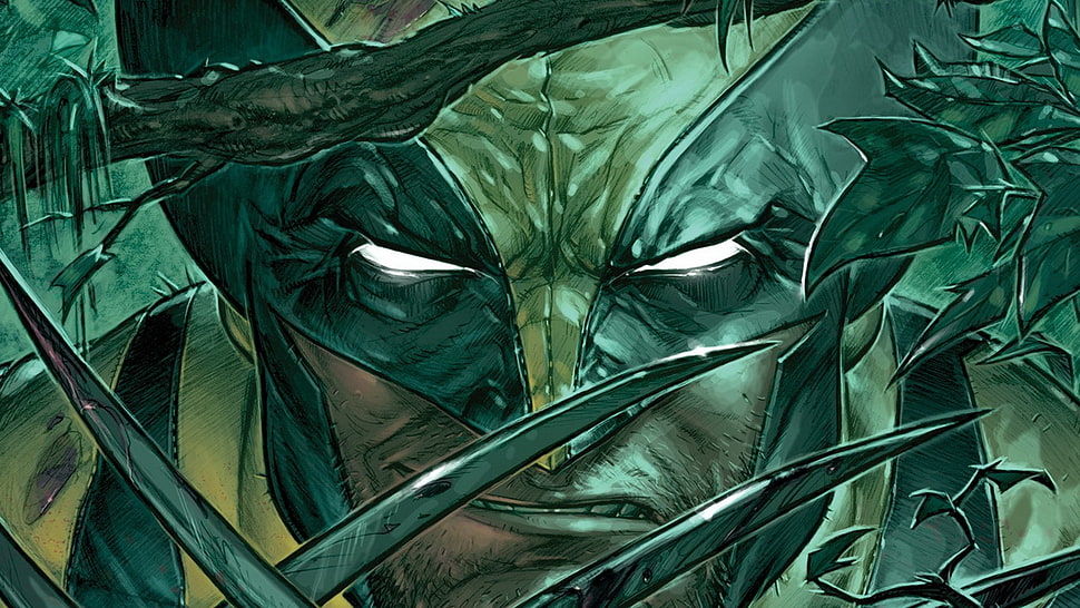 Marvel X-Men Wolverine illustration, Wolverine, Marvel Comics, X-Men, artwork HD wallpaper