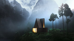 modern brown house, nature, house, trees, mountains