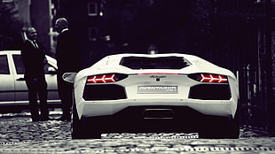 white Lamborghini Aventador, vehicle, car, Lamborghini, white cars