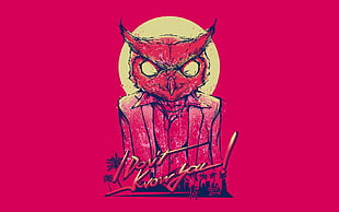 I don't know you owl illustratio HD wallpaper