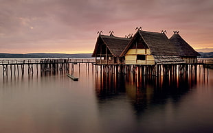 brown wooden cottage, lake, Germany, baden-württemberg
