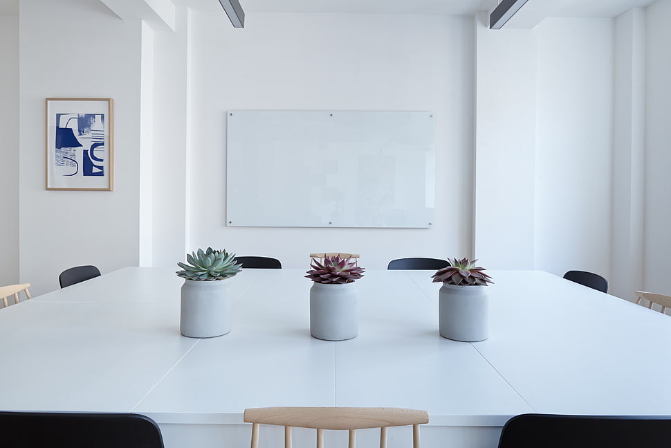 three white ceramic vase with plants on white table HD wallpaper