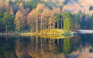 reflective and tilt shift photography of island during daytime