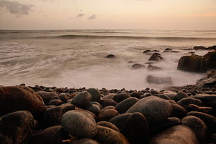 gray stones on sea shore HD wallpaper