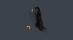 black grim reaper illustration HD wallpaper