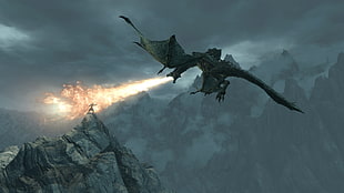 Dragon photo