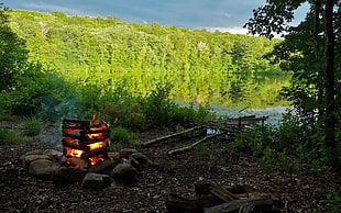 bonfire near body of water during day time