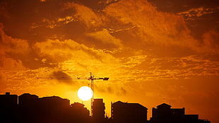silhouette of a tree near body of water, cityscape, cranes (machine), Sun, silhouette