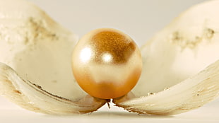 white clamp shell with gold-colored pearl